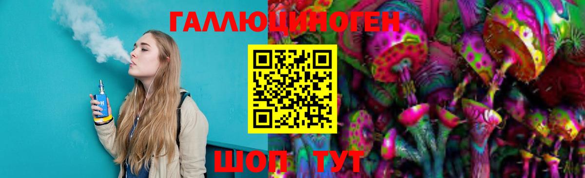 Галлюциногенные грибы Psilocybe Армавир
